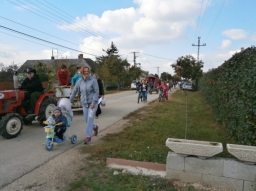 szuret16_23_20220219